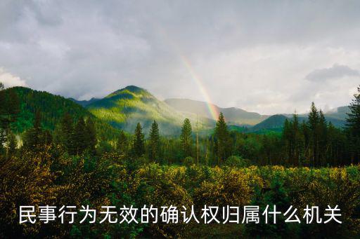 民事行為無(wú)效的確認(rèn)權(quán)歸屬什么機(jī)關(guān)