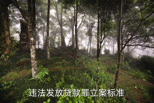2022年高利貸罪立案標(biāo)準(zhǔn)，高利貸是怎么規(guī)定的