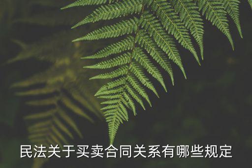 民法關(guān)于買賣合同關(guān)系有哪些規(guī)定
