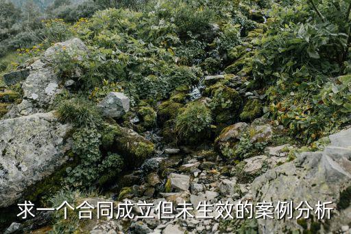 無效勞動合同舉例分析，求一個合同成立但未生效的案例分析