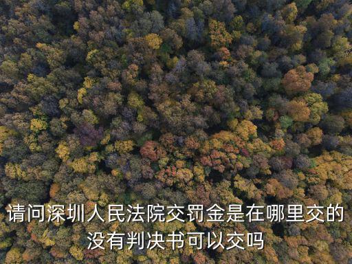 請問深圳人民法院交罰金是在哪里交的沒有判決書可以交嗎