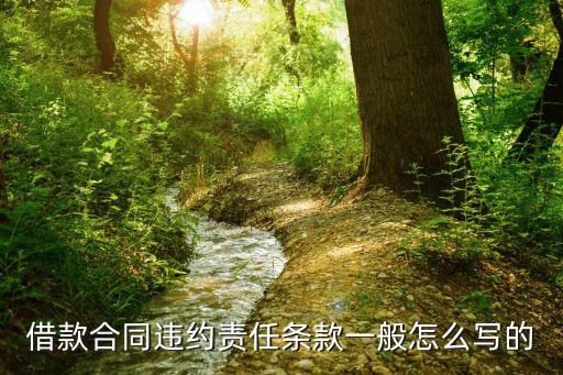 借款違約責任條款，貸款違約的責任是什么
