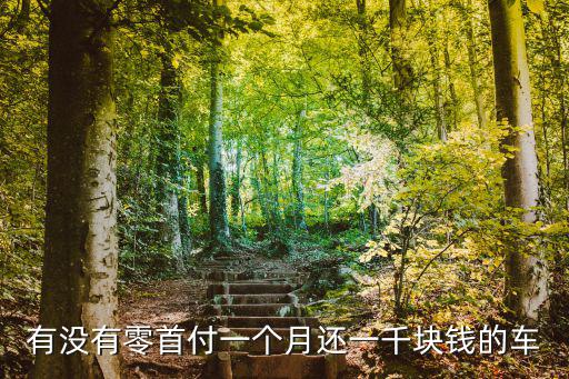 0首付月供2000左右的車，本人月供2000元買個(gè)汽車求大家給點(diǎn)建議有沒(méi)有什么車性價(jià)比好