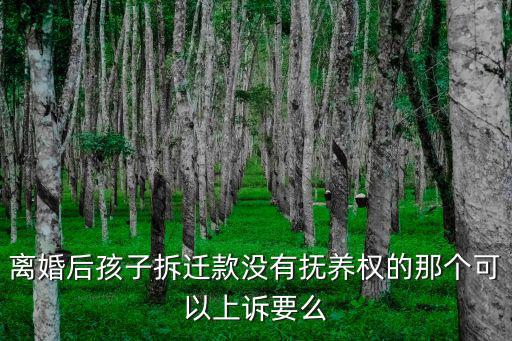 動(dòng)遷款家庭分配起訴，離婚后關(guān)于離婚前所屬的個(gè)人動(dòng)遷份額還能起訴要回嗎