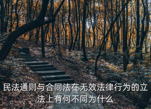 民法典合同無效法條，如何認(rèn)定雙方都有過錯(cuò)的無效民事行為的責(zé)任