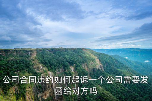 公司合同違約如何起訴一個公司需要發(fā)函給對方嗎