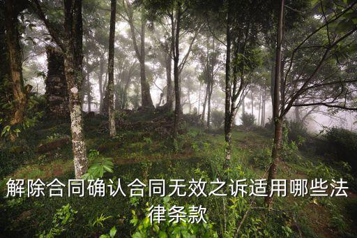 解除合同確認(rèn)合同無效之訴適用哪些法律條款