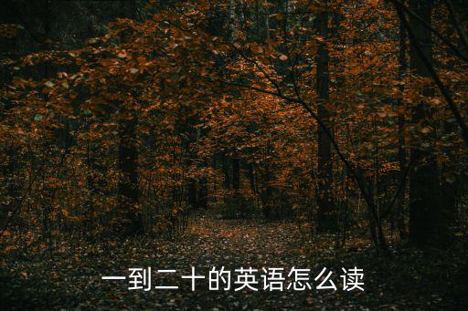 1到20的英語怎么讀，1到20英語怎么念