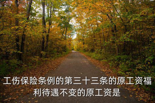 工傷保險(xiǎn)條例的第三十三條的原工資福利待遇不變的原工資是