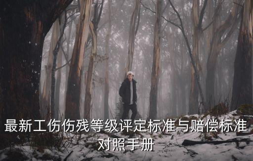 最新工傷傷殘等級評定標準與賠償標準對照手冊