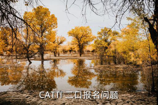CATTI 二口報名問題