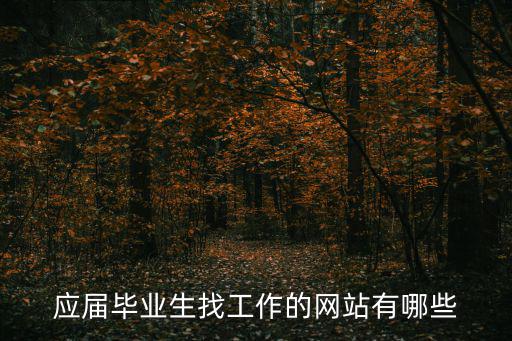 應(yīng)屆生求職網(wǎng)，應(yīng)屆畢業(yè)生招聘就業(yè)網(wǎng)站有哪些