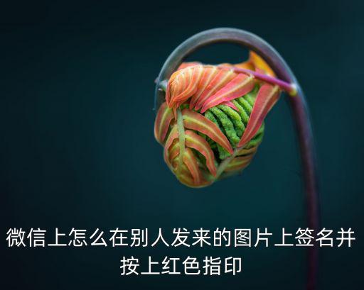 微信上怎么在別人發(fā)來的圖片上簽名并按上紅色指印