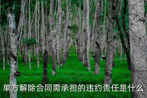 單方解除合同需承擔(dān)的違約責(zé)任是什么