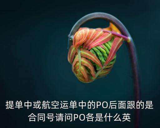 提單中或航空運(yùn)單中的PO后面跟的是合同號(hào)請問PO各是什么英