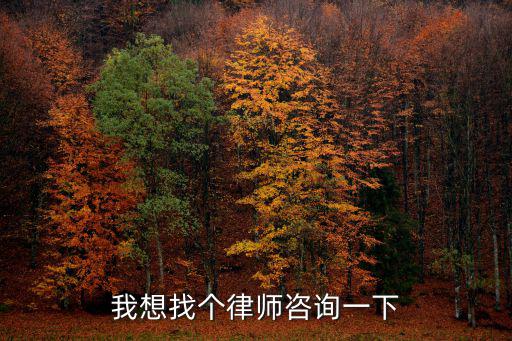 我想找個(gè)律師咨詢一下