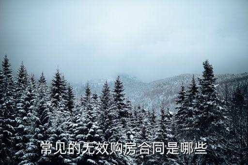 常見(jiàn)的無(wú)效購(gòu)房合同是哪些
