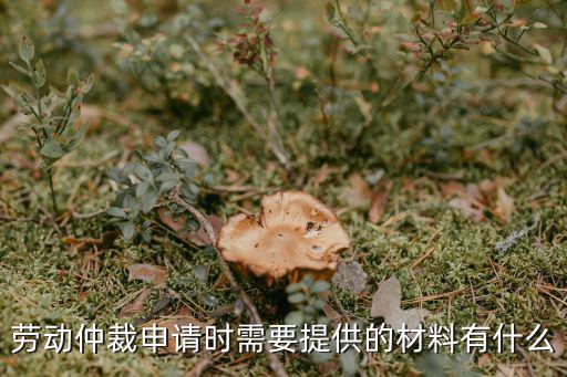 勞動(dòng)仲裁申請(qǐng)時(shí)需要提供的材料有什么