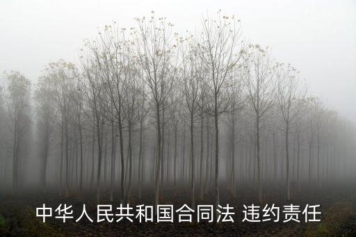 中華人民共和國合同法 違約責任