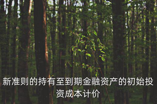 新準(zhǔn)則的持有至到期金融資產(chǎn)的初始投資成本計(jì)價(jià)