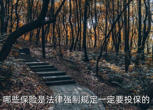 哪些保險(xiǎn)是法律強(qiáng)制規(guī)定一定要投保的