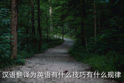 漢譯英基本技巧，中譯英有什么技巧