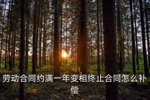 合同解除權(quán)超過一年怎么賠償，勞動合同約滿一年變相終止合同怎么補償