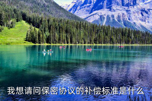 我想請問保密協(xié)議的補(bǔ)償標(biāo)準(zhǔn)是什么