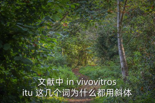 文獻(xiàn)中 in vivovitrositu 這幾個詞為什么都用斜體