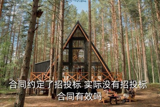 合同約定了招投標(biāo) 實(shí)際沒有招投標(biāo) 合同有效嗎