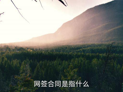 網(wǎng)簽合同，網(wǎng)簽合同是指什么