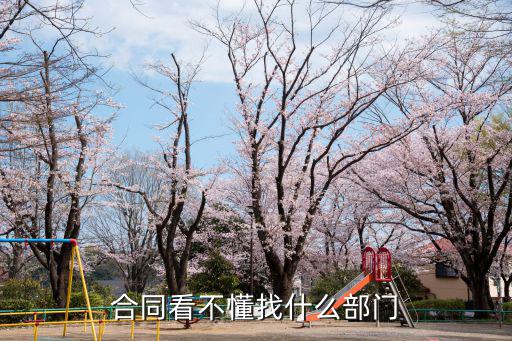 合同看不懂找什么部門