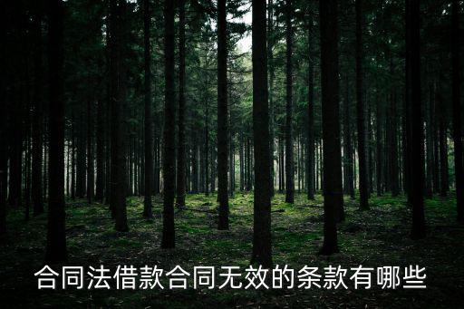 合同法借款合同無效的條款有哪些