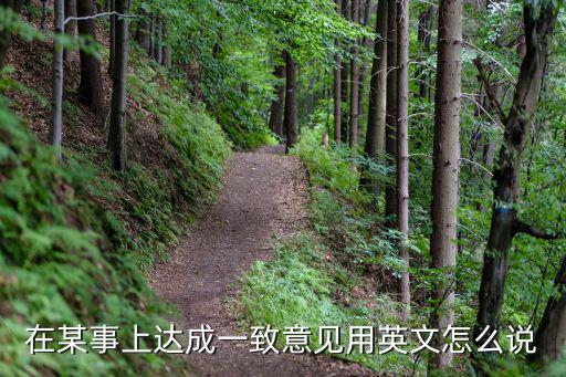 在某事上達(dá)成一致意見(jiàn)用英文怎么說(shuō)