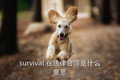 survival 在法律合同是什么意思