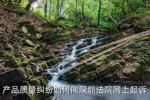 深圳民事糾紛網(wǎng)上如何起訴，法律問題 民事糾紛起訴需要準(zhǔn)備什么請分別以時間步驟和