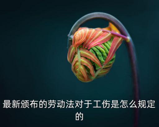 2020年民法典工傷，2020年工傷認(rèn)定標(biāo)準(zhǔn)