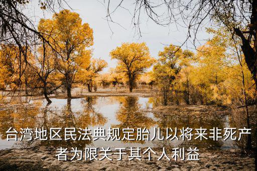 臺(tái)灣地區(qū)民法典規(guī)定胎兒以將來非死產(chǎn)者為限關(guān)于其個(gè)人利益
