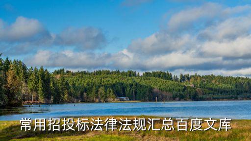 招標依據(jù)的法律有哪些，招標采購法律法規(guī)與政策的介紹