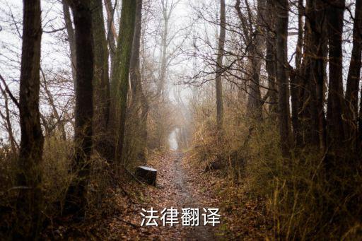 法律翻譯方法有哪幾種，做好法律翻譯應(yīng)該了解哪些常識