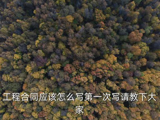 工程合同應(yīng)該怎么寫第一次寫請教下大家