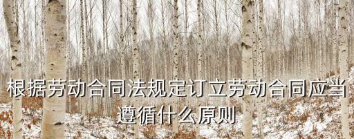 根據(jù)合同法的規(guī)定 訂立合同，合同法中合同訂立的程序有哪些