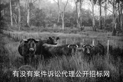 法律服務(wù)招投標，昆明國有企業(yè)聘請法律顧問需要公開招標嗎