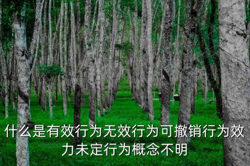 什么是有效行為無效行為可撤銷行為效力未定行為概念不明