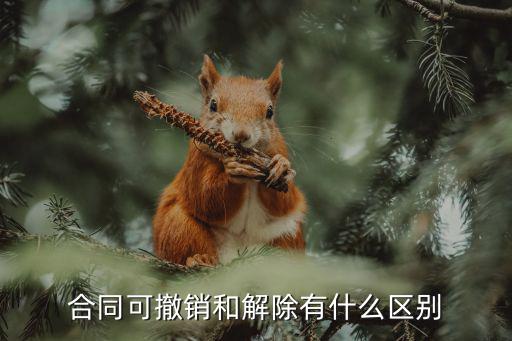 可撤銷合同和解除合同的區(qū)別，可撤消的合同與合同解除的區(qū)別