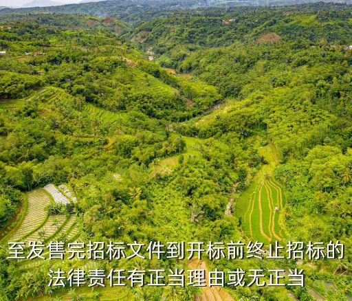 至發(fā)售完招標(biāo)文件到開標(biāo)前終止招標(biāo)的法律責(zé)任有正當(dāng)理由或無正當(dāng)