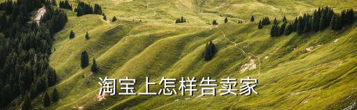 網(wǎng)絡購物起訴賣家怎么起訴，網(wǎng)絡平臺上買賣交易如何訴訟具體流程怎么做