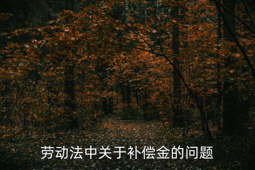 民法典關(guān)于經(jīng)濟(jì)補(bǔ)償金的規(guī)定，經(jīng)濟(jì)補(bǔ)償金的法律規(guī)定