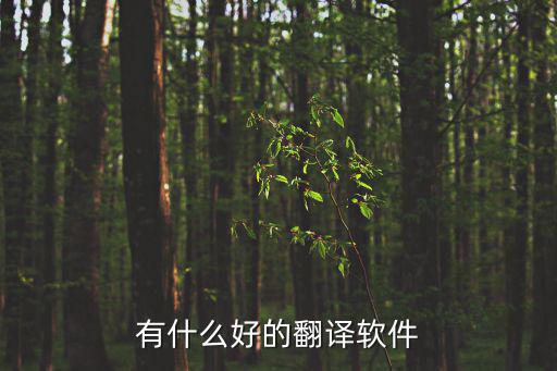 有什么好的翻譯軟件