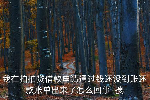 我在拍拍貸借款申請通過錢還沒到賬還款賬單出來了怎么回事  搜